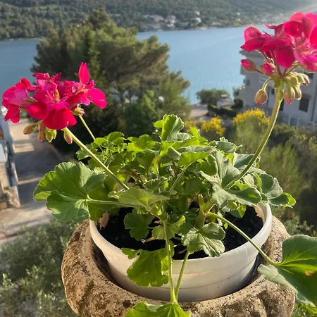 Apartamento Nediljka