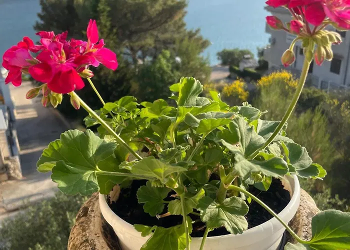 Apartamento Nediljka